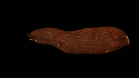 Rotating Cassava on Black Background (Looping) Stock Footage 147528432
