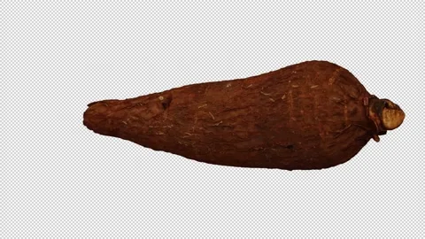 Rotating Cassava on Transparent Background (Looping with Alpha Channel) Stock Footage 147528211
