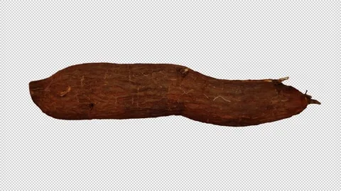 Rotating Cassava on Transparent Background (Looping with Alpha Channel) Stock Footage 147528644