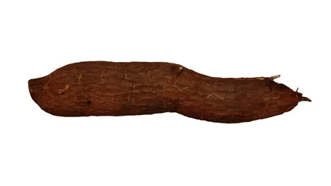 Rotating Cassava White Background (Looping) Stock Footage 147528708