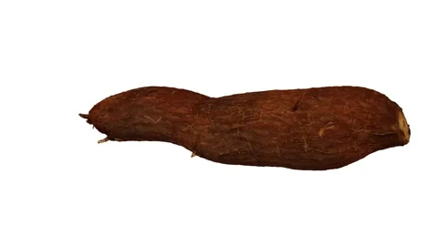 Rotating Cassava White Background (Looping) Video stock 147529009