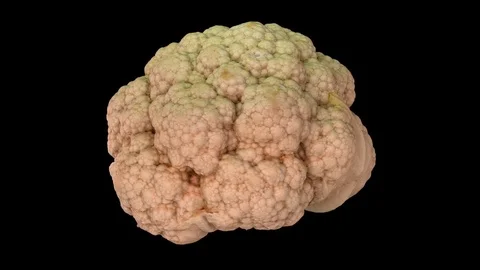 Rotating Cauliflower on Black Background (Looping) Stock Footage 97734271