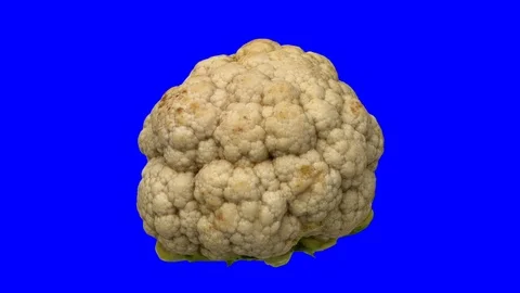 Rotating Cauliflower on Blue Background (Looping) Video stock 98432272
