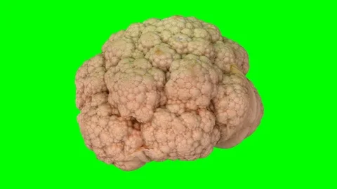 Rotating Cauliflower on Green Background (Looping) Stock Footage 97734341