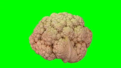 Rotating Cauliflower on Green Background (Looping) Stock Footage 97735400