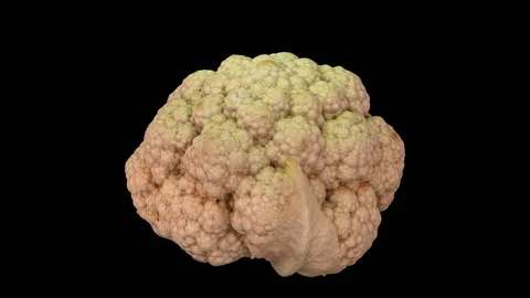 Rotating Cauliflower on Transparent Background (Looping with Alpha Channel) Stock Footage 97735288