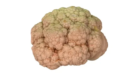 Rotating Cauliflower on White Background (Looping) Stock Footage 97734444