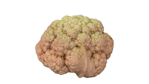 Rotating Cauliflower on White Background (Looping) Stock Footage 97735466