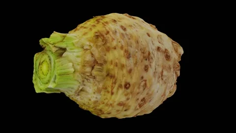 Rotating Celery Root on Black Background (Looping) Stock Footage 139733906