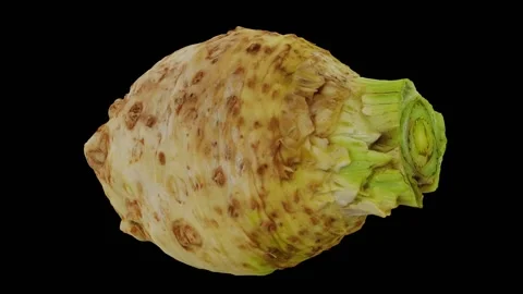 Rotating Celery Root on Black Background (Looping) Video stock 139736532