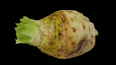 Rotating Celery Root on Black Background (Looping) Video stock 139737938