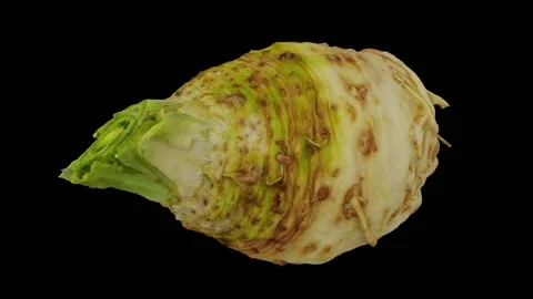 Rotating Celery Root on Black Background (Looping) Video stock 139741303