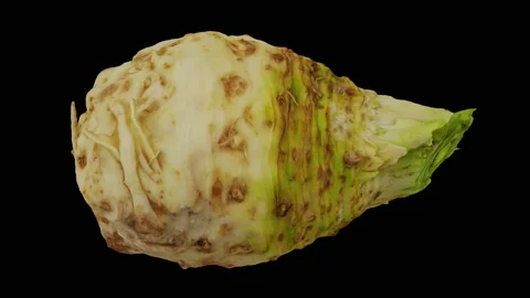 Rotating Celery Root on Black Background (Looping) Video stock 139742842