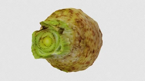 Rotating Celery Root on Transparent Background (Looping with Alpha Channel) Stock Footage 139733653