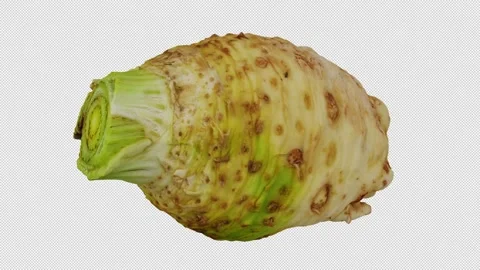 Rotating Celery Root on Transparent Background (Looping with Alpha Channel) 스톡 동영상 139735411