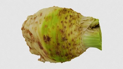 Rotating Celery Root on Transparent Background (Looping with Alpha Channel) 스톡 동영상 139736453