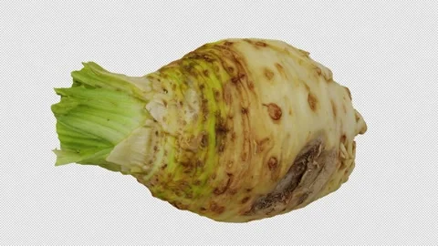 Rotating Celery Root on Transparent Background (Looping with Alpha Channel) 스톡 동영상 139737497