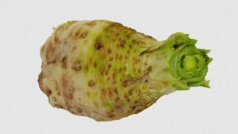 Rotating Celery Root on Transparent Background (Looping with Alpha Channel) 스톡 동영상 139737787