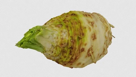 Rotating Celery Root on Transparent Background (Looping with Alpha Channel) 스톡 동영상 139739774