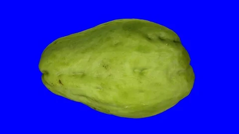 Rotating Chayote on Blue Background (Looping) Stock Footage 98435607