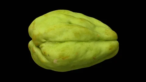 Rotating Chayote on Transparent Background (Looping with Alpha Channel) Stock Footage 98434391