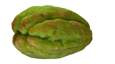Rotating Chayote on White Background Stock Footage 79551366