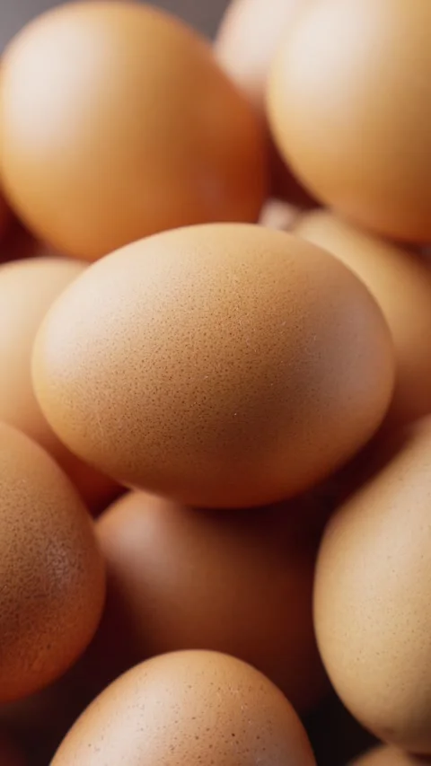 Rotating chicken egg. Pile of fresh brown eggs rotating. Vertical video. Organic Video stock 308883686