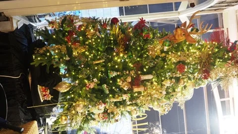 Rotating Christmas Tree, In December Stock Footage 225290671