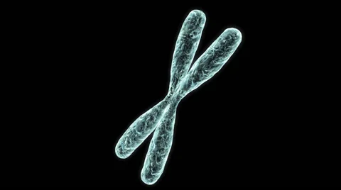 Rotating chromosome, alpha, science, genetic, gene, programmation, life Stock Footage