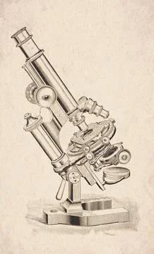 Rotating Circular Stage Polarizing Compound Microscope Scientific Instrumen.. Stock Illustration
