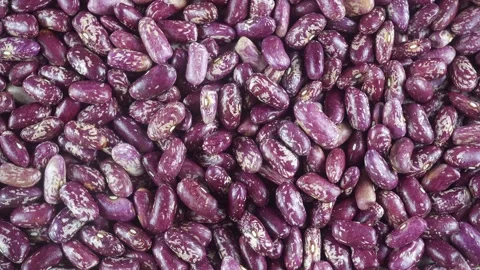 Rotating Close-up Of Common Red Bean. Video stock 319762203