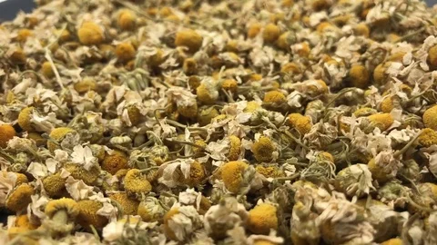 Rotating close up of dry flowers of chamomile or camomile Stock-Footage 79854471