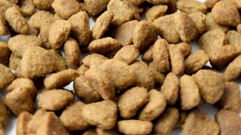 Rotating close-up of dry pet food kibble in various shapes on a white turntable  Vidéo 346520612
