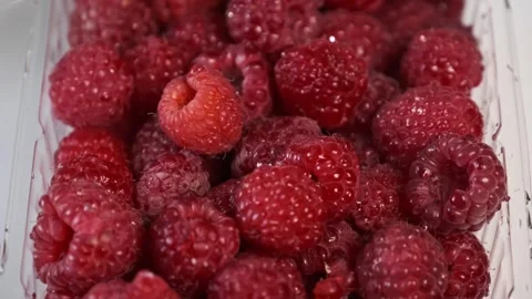 Rotating close-up of fresh, ripe raspberries in a container. Stock Footage 312432496