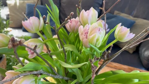 Rotating close-up of pale pink tulips and decorative twigs in a home bouquet Видео 335923401