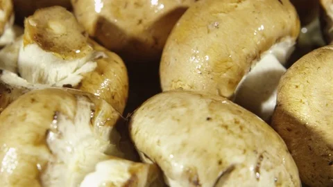 Rotating closeup view of mushrooms Stock-Footage 80132160