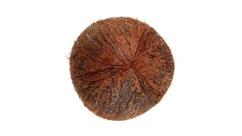 Rotating coconut view from above. Isolated on white background. Stock-Footage 161038369