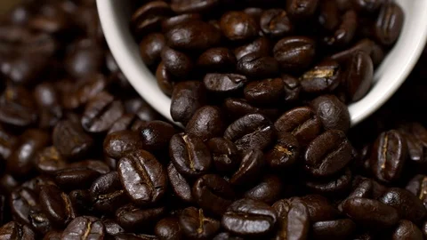 Rotating of coffee beans with coffee cup Stock Footage 97378364