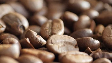 Rotating coffee beans Stock Footage 85473457