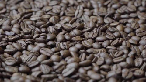 Rotating Coffee beans Stock Footage 120506852