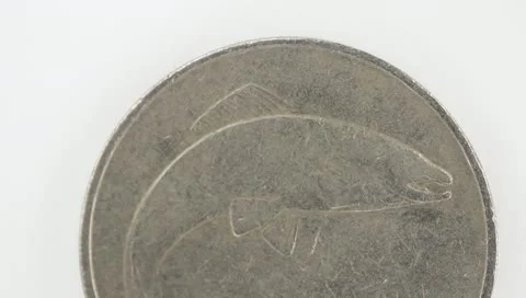 Rotating Coin Stock Footage 10741216