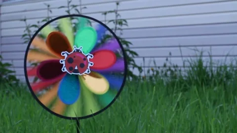 Rotating color circle in the yard Stock Footage