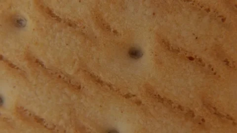 Rotating Cookie Macro Texture Food Background. Видео 334675344