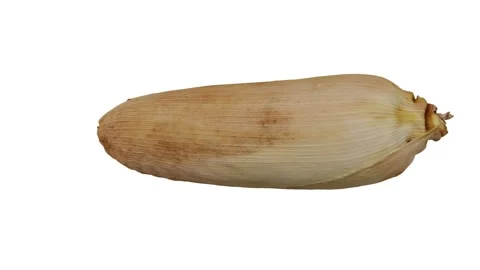 Rotating Corn on the Cob White Background (Looping) Stock Footage 147555464