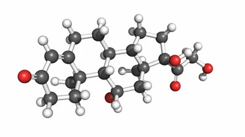 Rotating cortisol molecule, ball and stick model Stock Footage 24603878