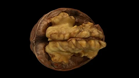 Rotating Cracked Walnut on Black Background (Looping) Video stock 97757651