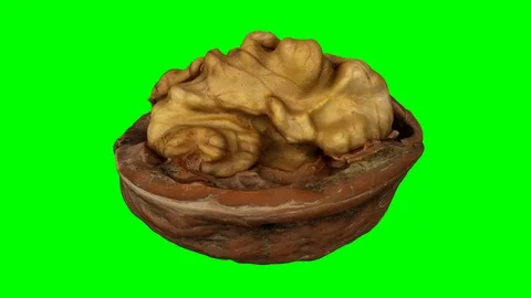 Rotating Cracked Walnut on Green Background (Looping) Video stock 97756752