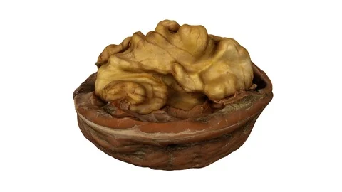 Rotating Cracked Walnut on Green Background (Looping) Stockbeeldmateriaal 97756848