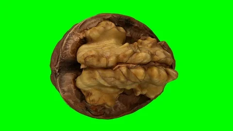 Rotating Cracked Walnut on Green Background (Looping) Video stock 97757697