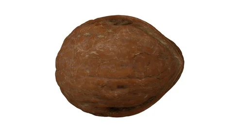 Rotating Cracked Walnut on Green Background (Looping) Stockbeeldmateriaal 97760268